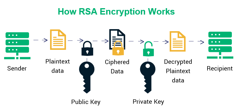 RSA Digital Signatures and Public-Key Cryptosystems